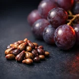 Grape Seed Extract botanical
